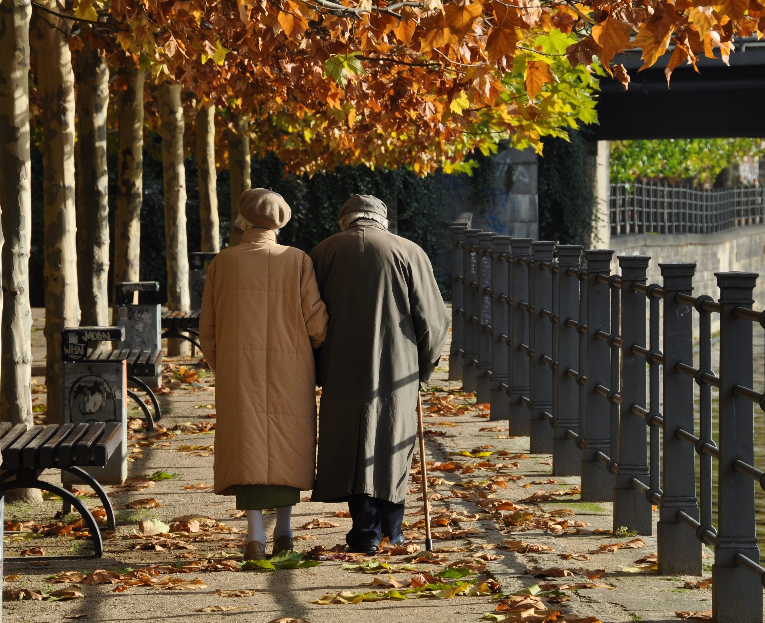 Пенсионеры осенью. Осенняя прогулка. Прогулка пожилых людей. Пожилая пара осень. Пожилые люди в парке.